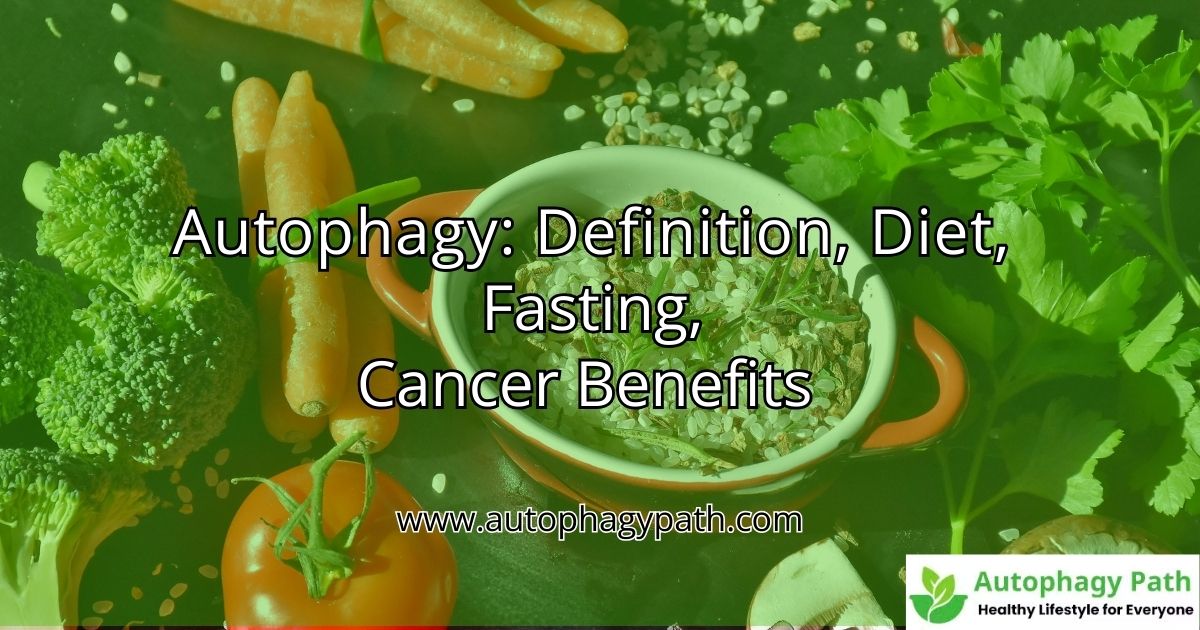 What is Autophagy | Autophagy Benefits - Autophagy path