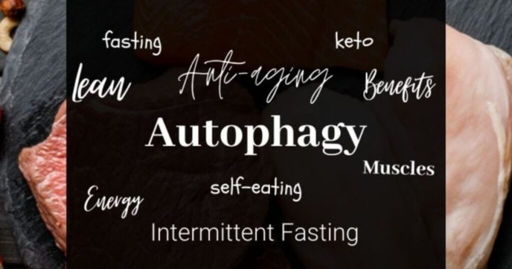 Autophagy: Definition-Diet-Fasting-Cancer-Benefits-jpg